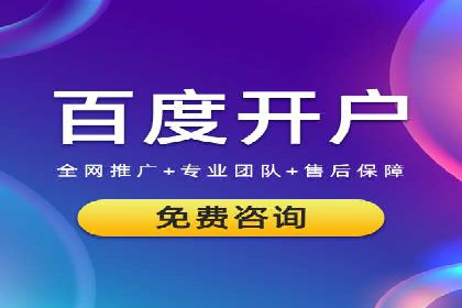 SEM代理服务：案例分享，效果显著